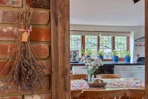 character- click for photo gallery